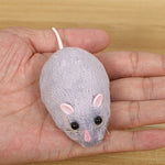 Télécommande Souris Souris