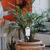 Sacs goutte à goutte pour plantes - irrigation goutte à goutte des plantes