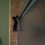 Décoration de coin de porte Halloween chat noir