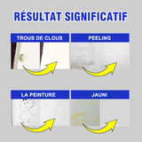 Pommade Réparatrice des Murs