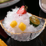 Rasoir à Glace Manuel