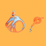 Harnais de Poitrine pour Animaux de Compagnie