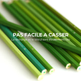 Ensemble de crayons de couleur grasse