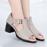 Chaussures à talons bas confortables et élégantes