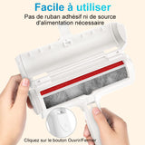 Brosse Anti Poils Animaux Chat Chien