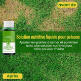 Nutriment liquide pour pelouse