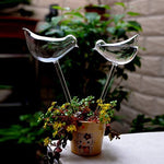 Ampoules en verre pour plantes auto-arrosantes