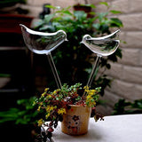 Ampoules en verre pour plantes auto-arrosantes