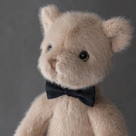 🧸Jouet Mignon d'Ours Déshabillé❤️