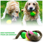 Castor Beaver Ball Electric Pour Chien - ciaovie