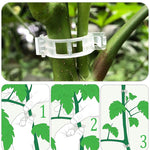 Anneau en plastique pour maintenir les plantes