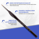 Kit de Pinceaux de Détail