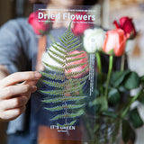 Ensemble d'autocollants de fleurs séchées