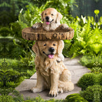 Mangeoire en résine pour animaux