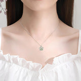 Collier de patte de chien