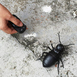 Jouet électrique pour insectes avec télécommande