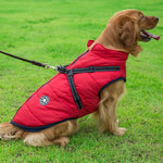 Veste d'Hiver Imperméable pour Chien