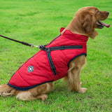 Veste d'Hiver Imperméable pour Chien