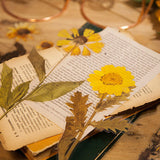 Ensemble d'autocollants de fleurs séchées