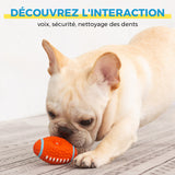 Jouet immortel pour mâcheurs agressifs