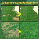 Nutriment liquide pour pelouse