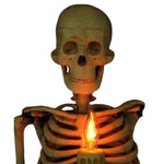 Décoration Crâne pour Maison d'Halloween