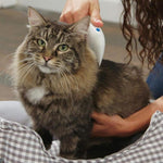 Dissolvant Électrique Pour Animaux Domestiques