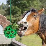Boule de Gâterie pour Chevaux