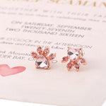 Boucles d'Oreilles Pattes de Chats Mignons