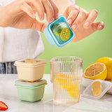 Moule pour Bac à Glace Simple（3 pcs）