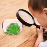 Cartes d'éclosion d'oeufs de dinosaures(24pièces)