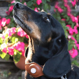 Collier en Cuir avec Étiquette d'Air