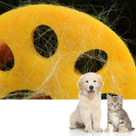 Attrape-poils pour animaux de compagnie