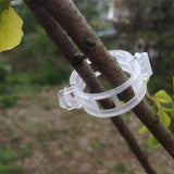 Anneau en plastique pour maintenir les plantes