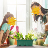 Plateaux de démarrage de graines avec lumière de croissance, 5 ensembles