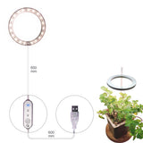 Lampes de culture pour plantes indooe