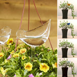 Ampoules en verre pour plantes auto-arrosantes