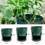 Sacs de Culture de Pommes de Terre