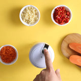 Mini Mixeur Pratique