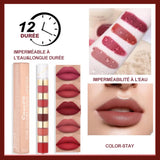 Kit de rouges à lèvres mats 5 en 1