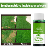 Nutriment liquide pour pelouse