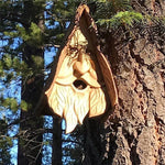 Maison d'oiseau unique