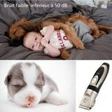 Tondeuse Animaux à Poils Rechargeable - ciaovie