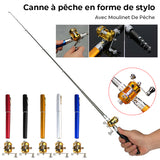 Canne à pêche de poche