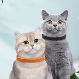 collier anti-insectes pour animaux de compagnie