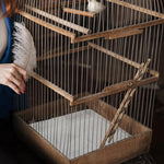 Papier absorbant pour animaux de compagnie