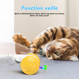 Jouet souris automatique pour chat