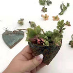 Planter Une Jardinière de Poche en Forme de Cœur Succulent