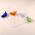 Ampoules en verre pour plantes auto-arrosantes