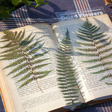 Ensemble d'autocollants de fleurs séchées